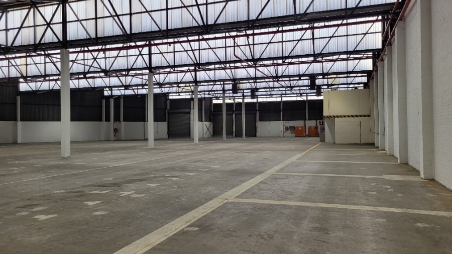 To Let commercial Property for Rent in Epping Industrial Western Cape